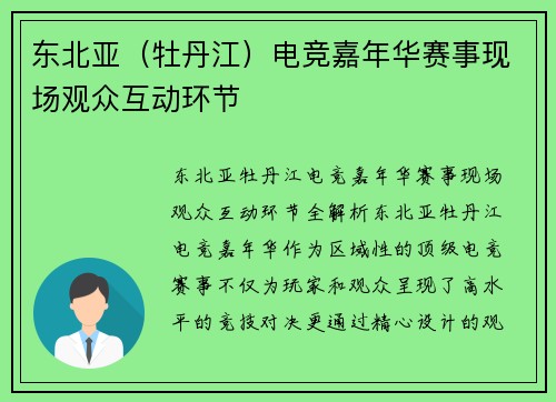 东北亚（牡丹江）电竞嘉年华赛事现场观众互动环节